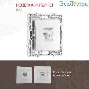 Розетка RJ45 Arte Milano 217.45-1.silver