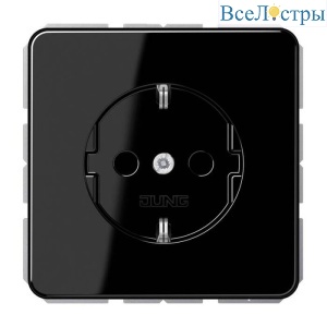Hозетка SCHUKO Jung CD500 CD1520BFKISW