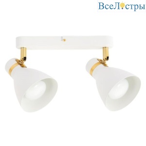 Спот Arte Lamp Fafnir A5047PL-2WH
