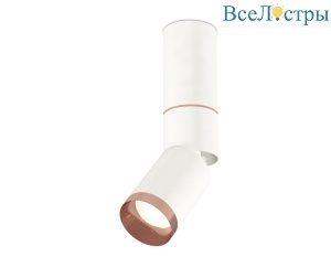 Спот Ambrella Light Techno Spot XM6312145 (C6322, A2063, A2220, C6312, N6135)