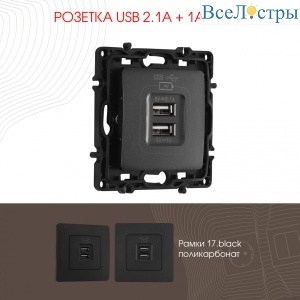 Розетка USB 2.1А+1А Arte Milano 217.46-1.black
