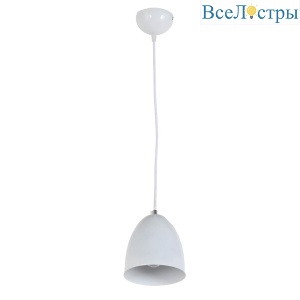 Подвесной светильник Arti Lampadari Torre E 1.3.P1 W