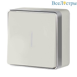 Выключатель одноклавишный с подсветкой Werkel Gallant слоновая кость W5010103 4690389163807