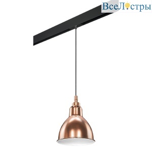 Трековый светильник Lightstar Loft (765013+595007) PRO765013