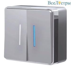 Выключатель двухклавишный с подсветкой Werkel Gallant серебряный W5020106 4690389167119