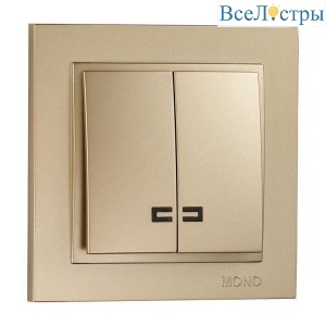 Выключатель Mono Electric Despina двухклавишный с подсветкой титан 102-222225-103