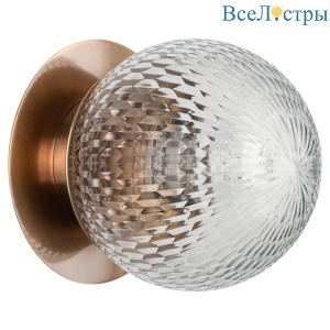 Уличный настенный светильник Covali WL-38028
