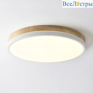 Потолочный светильник ImperiumLoft Disc 189903-26