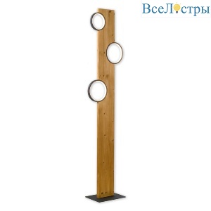 Торшер Lussole Modesto LSP-0905