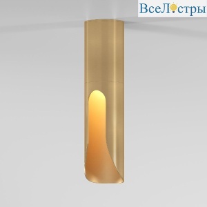 Накладной светильник Elektrostandard Apex 25113/LED 4690389208829 a068291