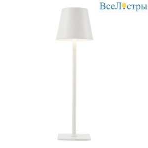 Настольная лампа F-Promo Pyari 4614-1T