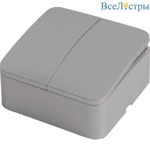 Выключатель двухклавишный Stekker София серебро MSW10-20-03 49297