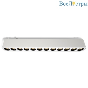 Трековый светильник Wertmark WTH.O20.007.40.12