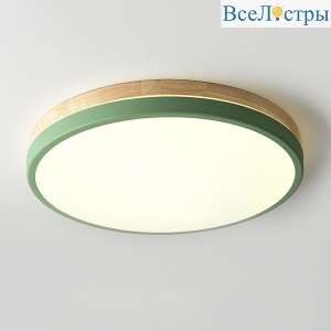 Потолочный светильник ImperiumLoft Disc Dh 189893-26