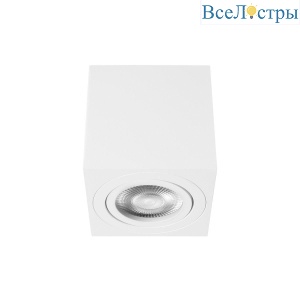 Накладной светильник Loft IT Unit 10340/A White