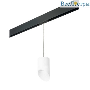 Трековый светильник Lightstar Rullo (213486+595887+201486) PRORP348686