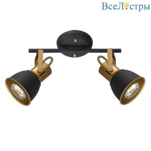 Спот Arte Lamp Jovi A1677PL-2GO