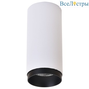 Точечный накладной светильник Wertmark Stecken WE802.01.007+WE803.RG.020