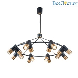Подвесная люстра Indigo Doppio 11036/16P Black V000456