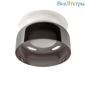 Потолочный светильник LOFT IT Totem 10466 Smoke