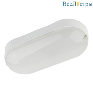 Настенно-потолочный светильник ЭРА SPB-202-0-40K-012 Б0047621