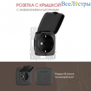 Розетка с заземлением, шторками и защитной крышкой Arte Milano 205.41-1.black