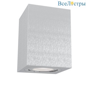 Потолочный светильник Maytoni Alfa C017CL-01S