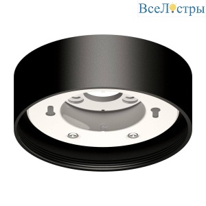 Потолочный светильник Ambrella light Diy Spot C8102