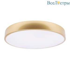 Потолочный светодиодный светильник Loft IT Flims 10228/A