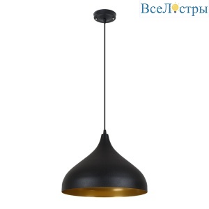 Подвесной светильник Arte Lamp Carmel A7076SP-1BK