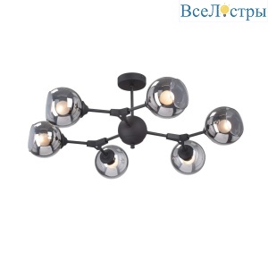 Потолочная люстра Vitaluce V4994-1/6PL
