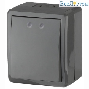 Выключатель одноклавишный ЭРА Эксперт 10AX 250V IP54 11-1401-03 Б0020670