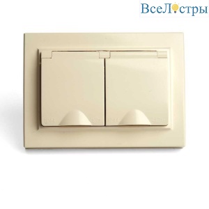 Розетка 2-местная 2P+PE Stekker Эрна с крышкой слоновая кость PST16-9015-02 49137