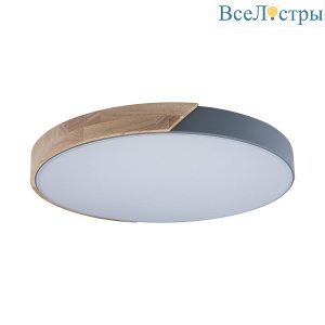 Потолочный светодиодный светильник Loft IT Axel 10004/36 grey