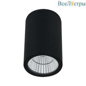 Уличный потолочный светильник Arte Lamp Torcular A1807PF-1BK