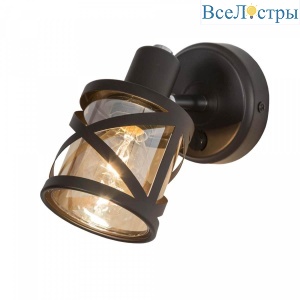 Спот Citilux Гессен CL536615