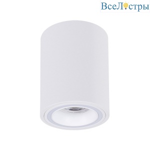 Накладной светильник Arte Lamp Imai A2267PL-1WH