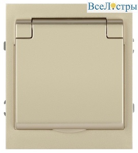 Розетка Эра Arktik 16-2103-04 с заземлением 2P+E Schuko со шторками с крышкой 16А-250В шампань Б0070437