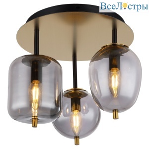 Потолочная люстра Lussole LSP-8730