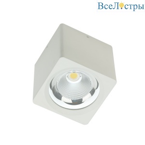 Накладной светодиодный светильник Fiberli CH-SD220-1(W) 12120103