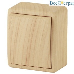 Выключатель одноклавишный ЭРА Эксперт 11-1201-11 Б0020656