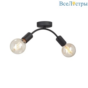 Потолочная люстра Vitaluce V4989-1/2PL