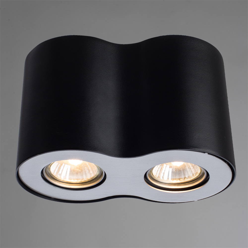 Falcon Arte Lamp