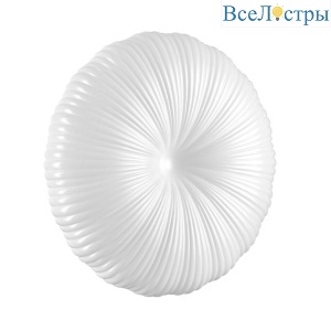Настенно-потолочный светильник Sonex Pale Anix 7678/ELN