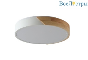 Потолочный светильник Zortes Alberro ZRS.01289.48