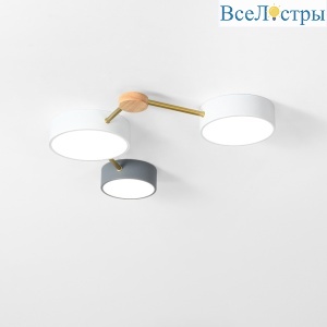 Потолочный светильник Imperium Loft Solen 207842-26