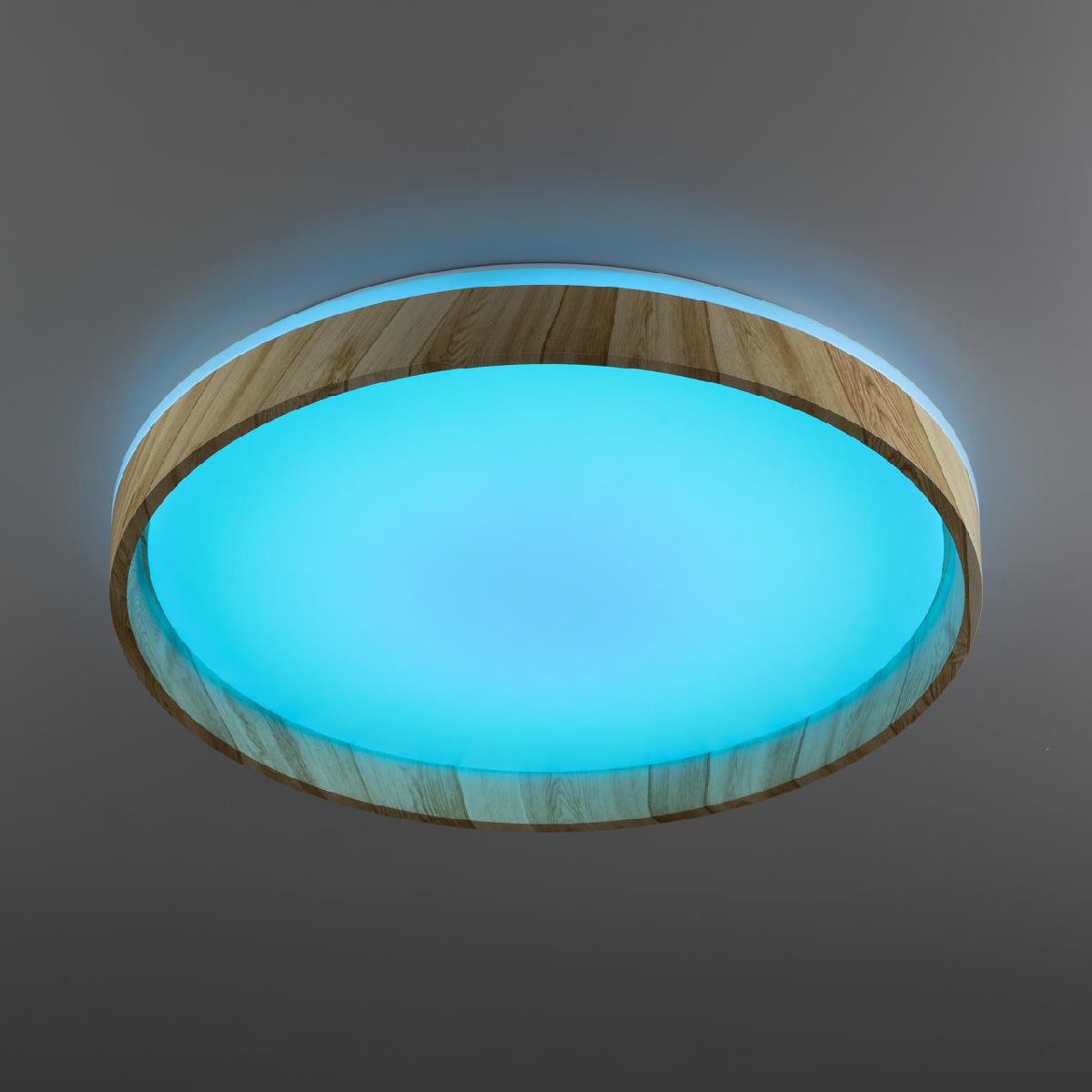 потолочный светильник citilux enzo cl753452g