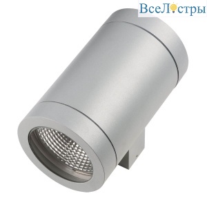 Накладной светильник Lightstar Paro 351619