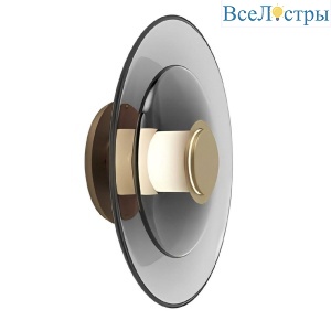 Настенный светильник Aployt Stefa APL.648.11.10