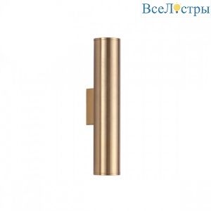 Настенный светодиодный светильник Odeon Light Dario 3833/2WA